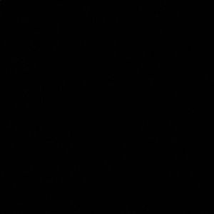 Meet your Posher, Ana